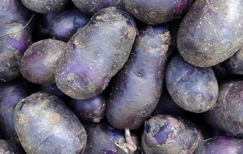 Vitanoire purple potato to - vitanoire,