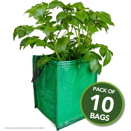 Potato planter grow - 10,