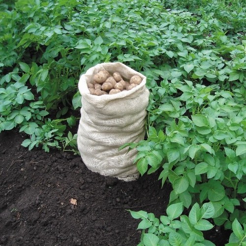 Pack large hessian - pack,