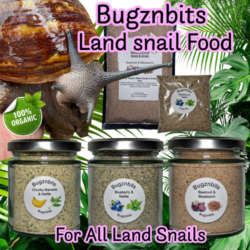 Organic snail food seed - snail, &