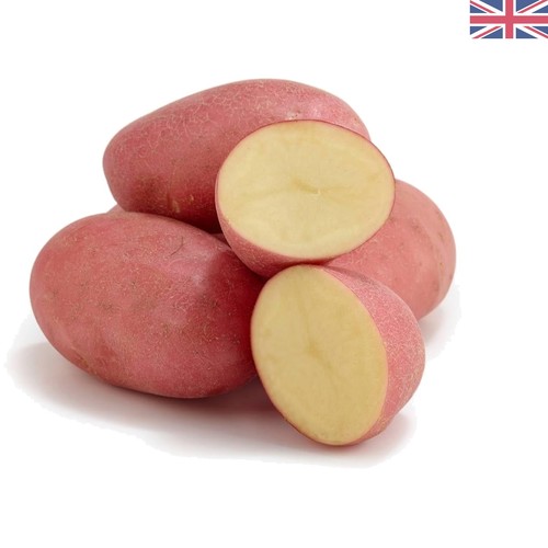 Egyptian red potatoes - egyptian, (1.5