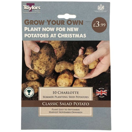 Taylors seed potatoes 10 - -,