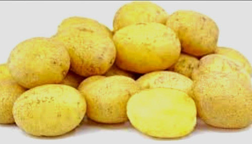 10x certified seed - certified,