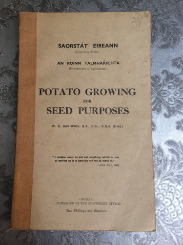 Potato growing for seed - potato,