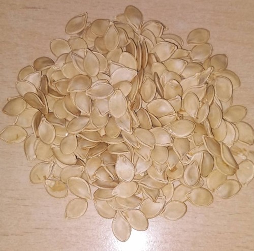 Seeds squash mashed - 22, seeds,