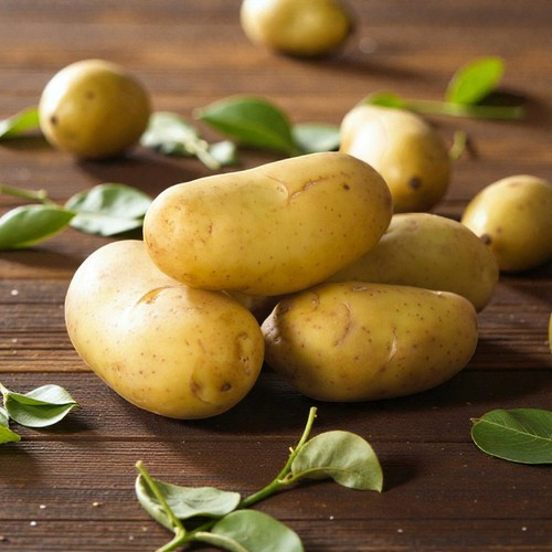 Seed potato international - seed,
