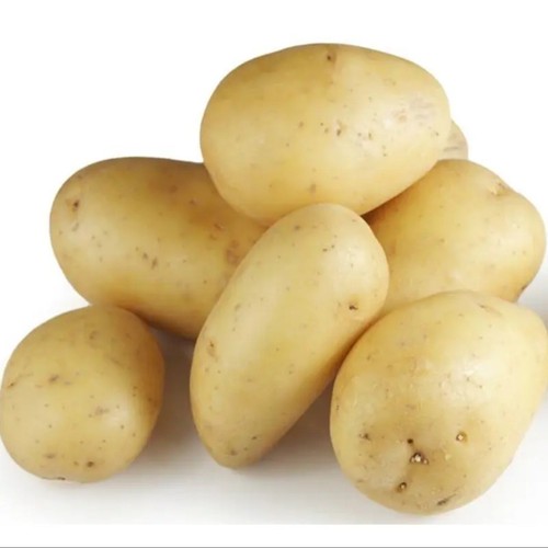 10x certified seed potatoes - certified,