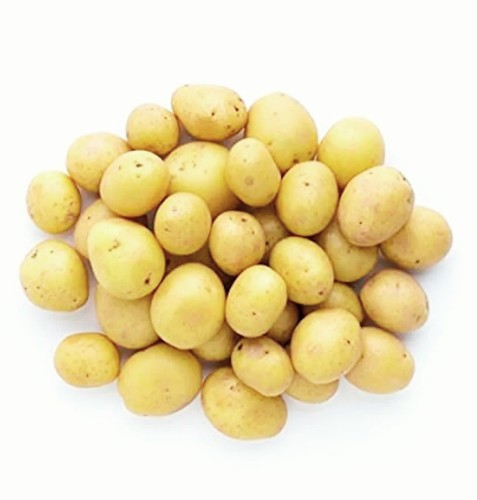 20x certified seed - 20x, potatoes