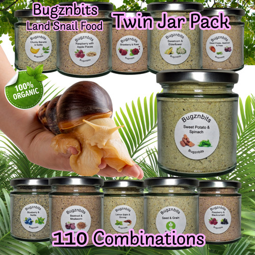 Bugznbits twin jar pack - bugznbits,