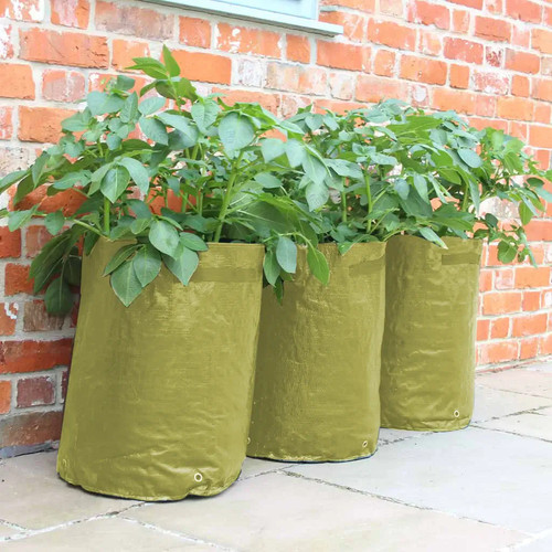 Haxnicks potato planter grow - potato,