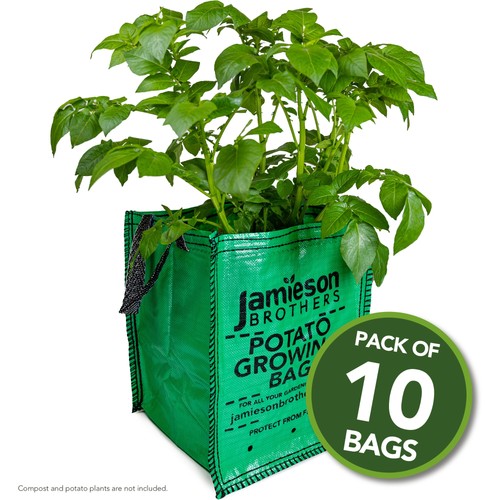 Potato planter grow bags - 10,