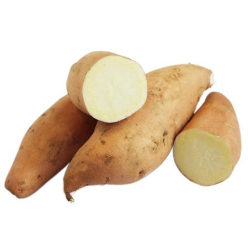 Hannah white organic seed - hannah,