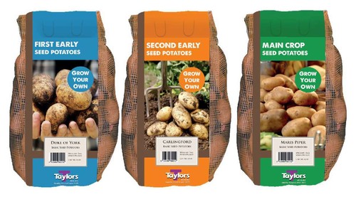 Taylors seed potatoes 2 kg - -,