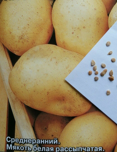 Rare potato seeds grow ur - potato,