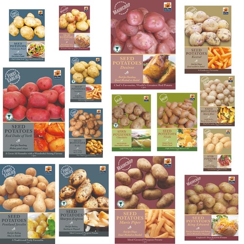 Seed potatoes first - potatoes, main